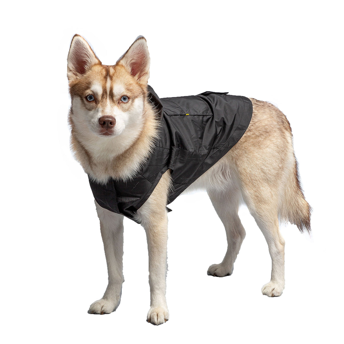 Packable Waterproof Dog Raincoat | Lightweight Hooded Jacket